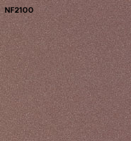NF2100 copy