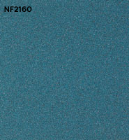 NF2160 copy