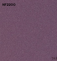 NF2200 copy