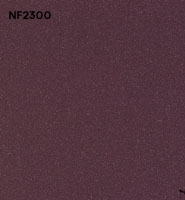 NF2300 copy